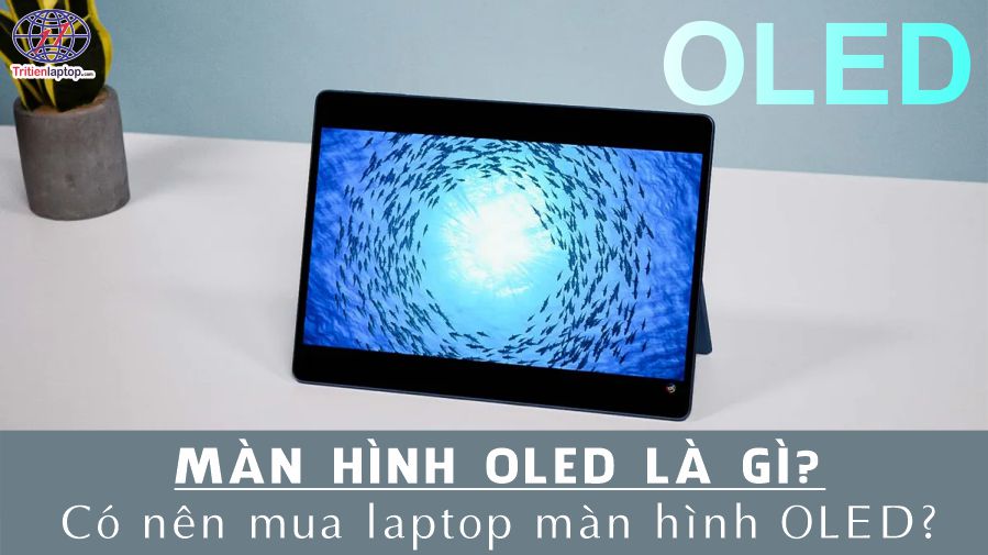 Màn hình OLED là gì? Có nên mua laptop màn hình OLED không?