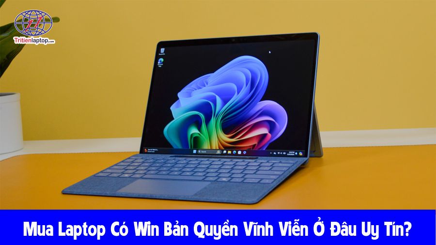 Mua laptop có win bản quyền vĩnh viễn ở đâu uy tín? 35 Mua laptop có win bản quyền vĩnh viễn ở đâu uy tín?