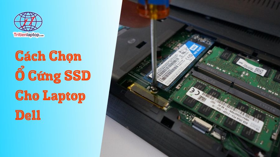 Cách chọn mua ổ cứng SSD cho laptop Dell