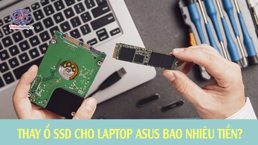 Thay ổ SSD cho laptop Asus bao nhiêu tiền? Bảng giá 2025 20 Thay ổ SSD cho laptop Asus bao nhiêu tiền? Bảng giá 2025