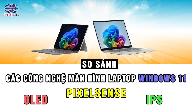 So sánh các công nghệ màn hình laptop Windows 11: OLED, IPS và PixelSense