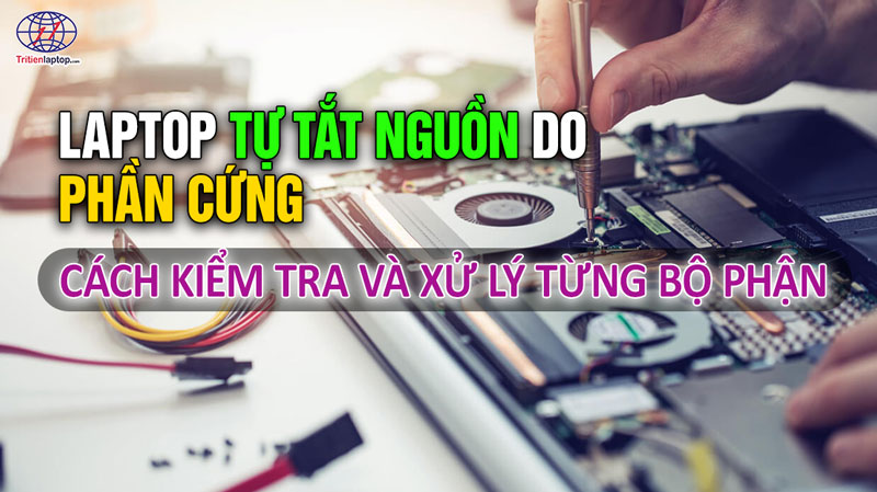 Laptop tự tắt nguồn do phần cứng: Cách kiểm tra và xử lý từng bộ phận