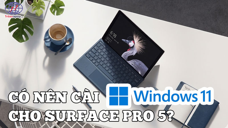 cai win 11 cho surface pro 5 add